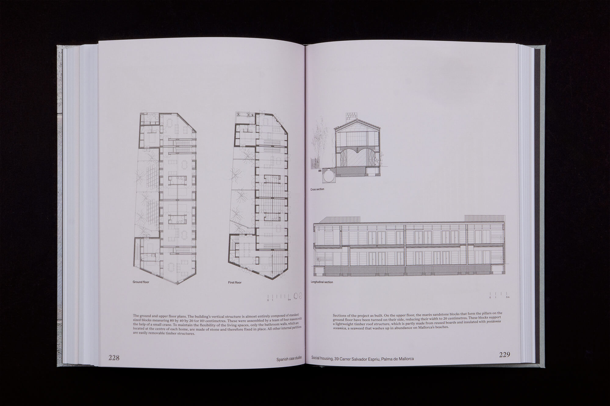 Building in Stone Today, Voices and Commentaries, Natalia Peťková, Birkhäuser Verlag